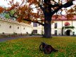 zamek_dubiecko_02